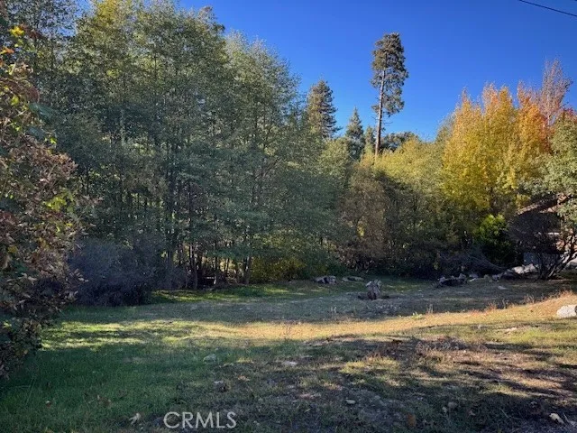 430 Alder, Cedar Glen, CA 92321