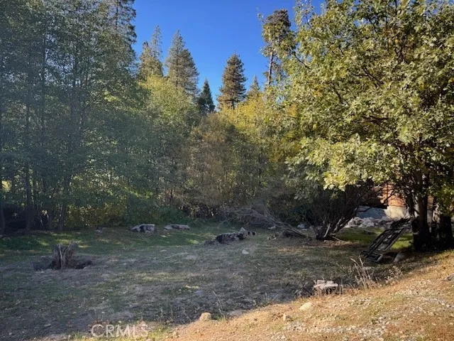 430 Alder, Cedar Glen, CA 92321 - Photo 4 of 7, Cedar Glen, CA