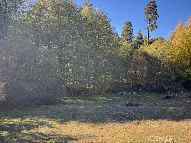 430 Alder, Cedar Glen, CA 92321 - Photo 3 of 7, Cedar Glen, CA