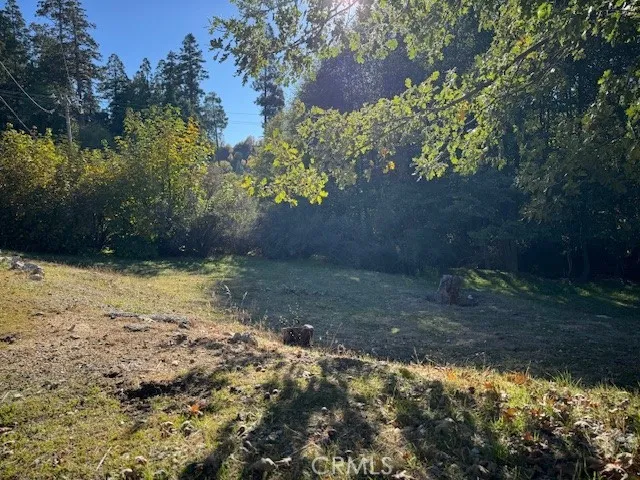 430 Alder, Cedar Glen, CA 92321 - Photo 5 of 7, Cedar Glen, CA