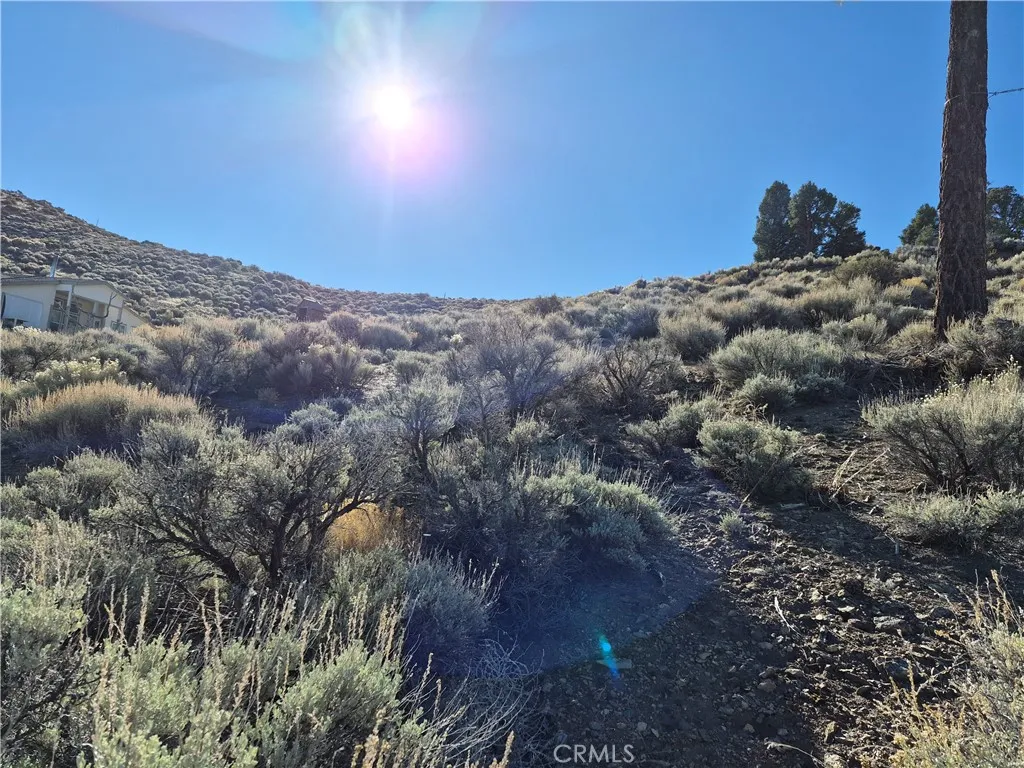 0 Rustic Canyon, Big Bear City, CA 92314 - Photo 3 of 11, Big Bear City, CA