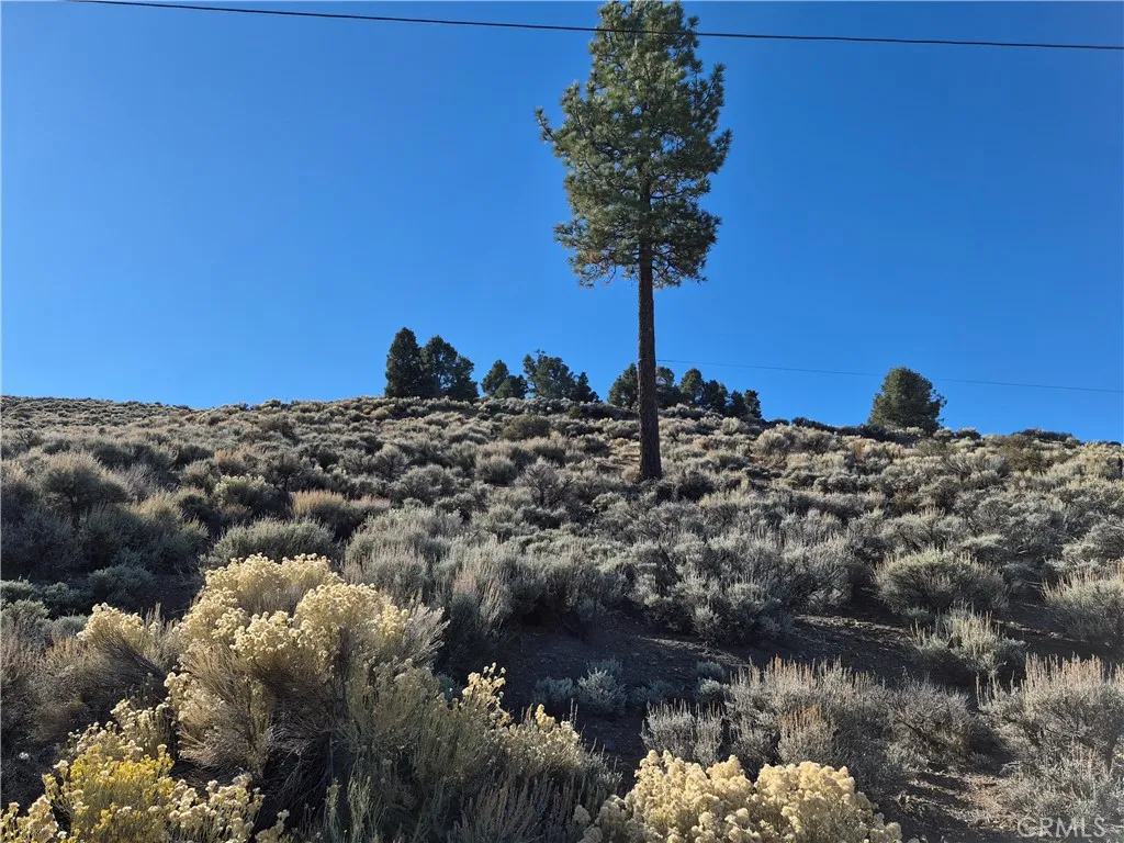 0 Rustic Canyon, Big Bear City, CA 92314 - Photo 2 of 11, Big Bear City, CA