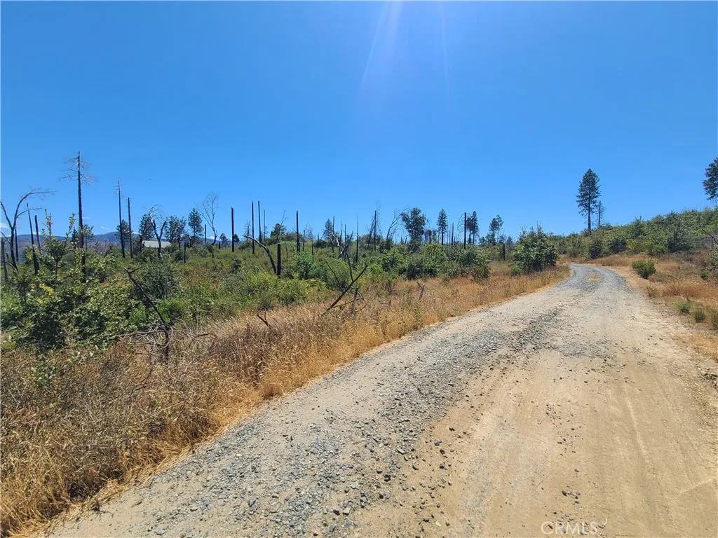 Concow, CA 95965