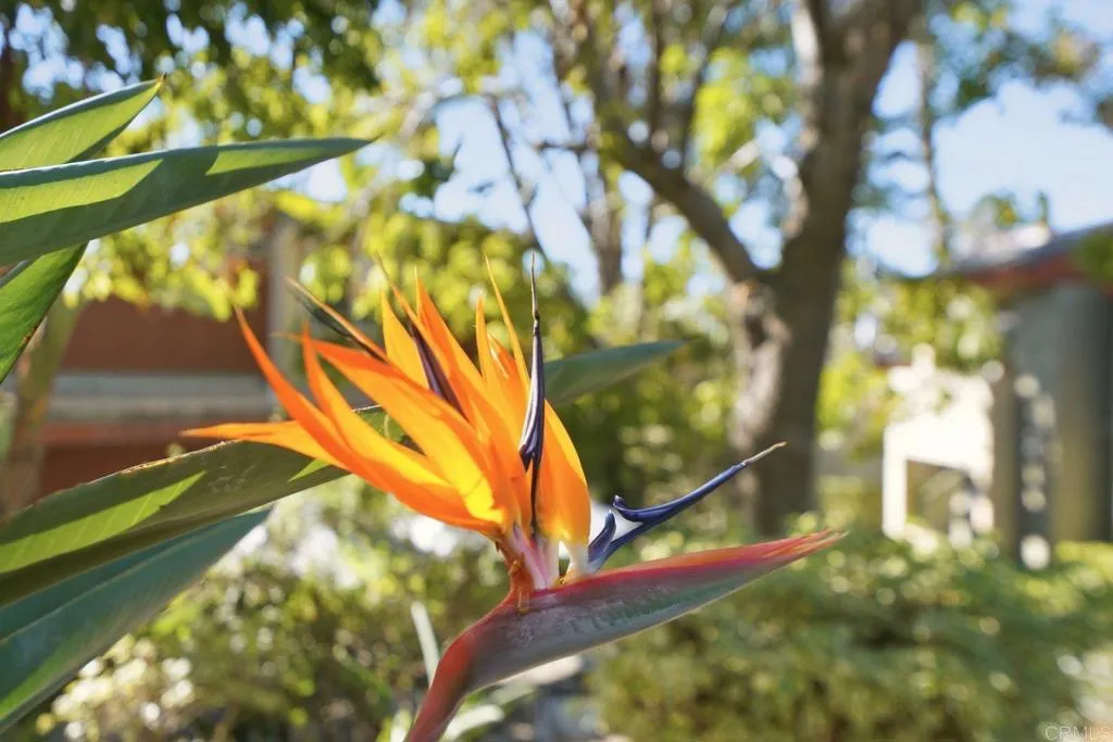 Photo #28: NDP2510359 Listing: Photo #28