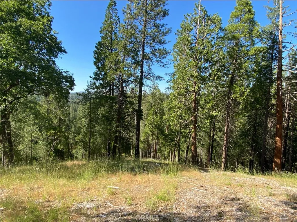 0 Pine Mountain, Groveland, CA 95321 - Photo 4 of 33, Groveland, CA