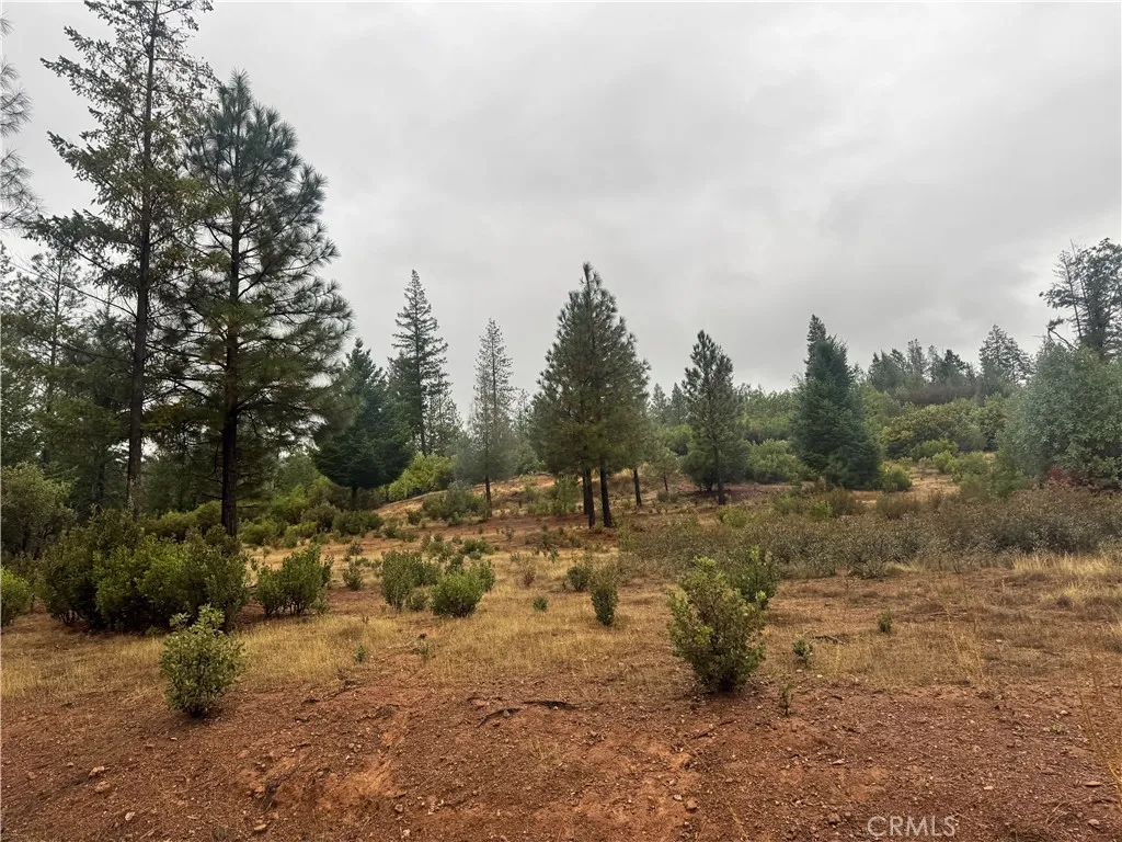 21575 My, Middletown, CA 95461 - Photo 3 of 12, Middletown, CA