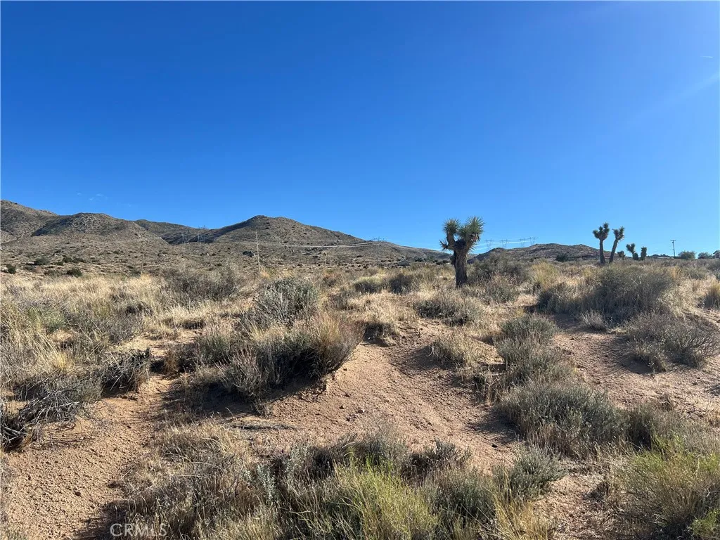 Apple Valley, CA 92308