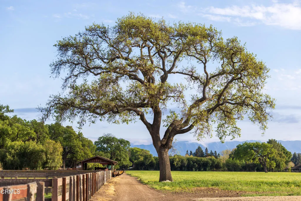 3325 Figueroa Mountain Road, Los Olivos, CA, 93441