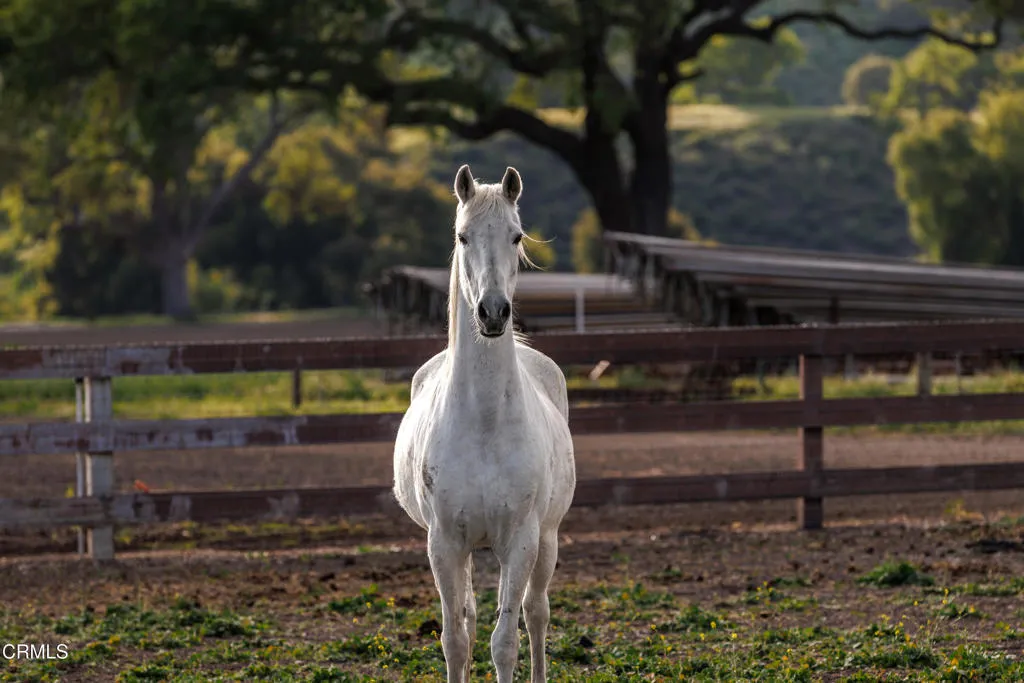 3325 Figueroa Mountain Road, Los Olivos, CA, 93441