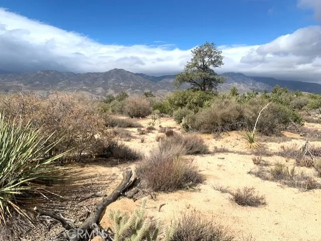 Mountain Center, CA 92561