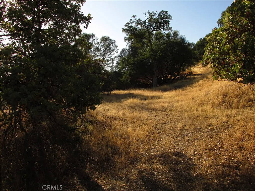 2 Old Oaks, North Fork, CA 93643 - Photo 5 of 54, North Fork, CA