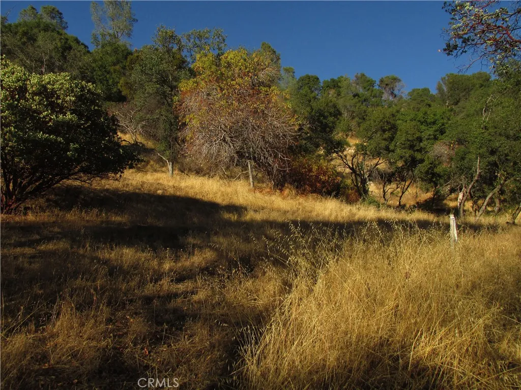 2 Old Oaks, North Fork, CA 93643 - Photo 4 of 54, North Fork, CA
