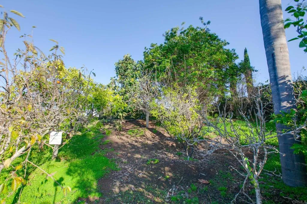 https://cdn.realtyfeed.com/cdn/127/306582090/6e36ce994b05795988a2a18f26209807.webp