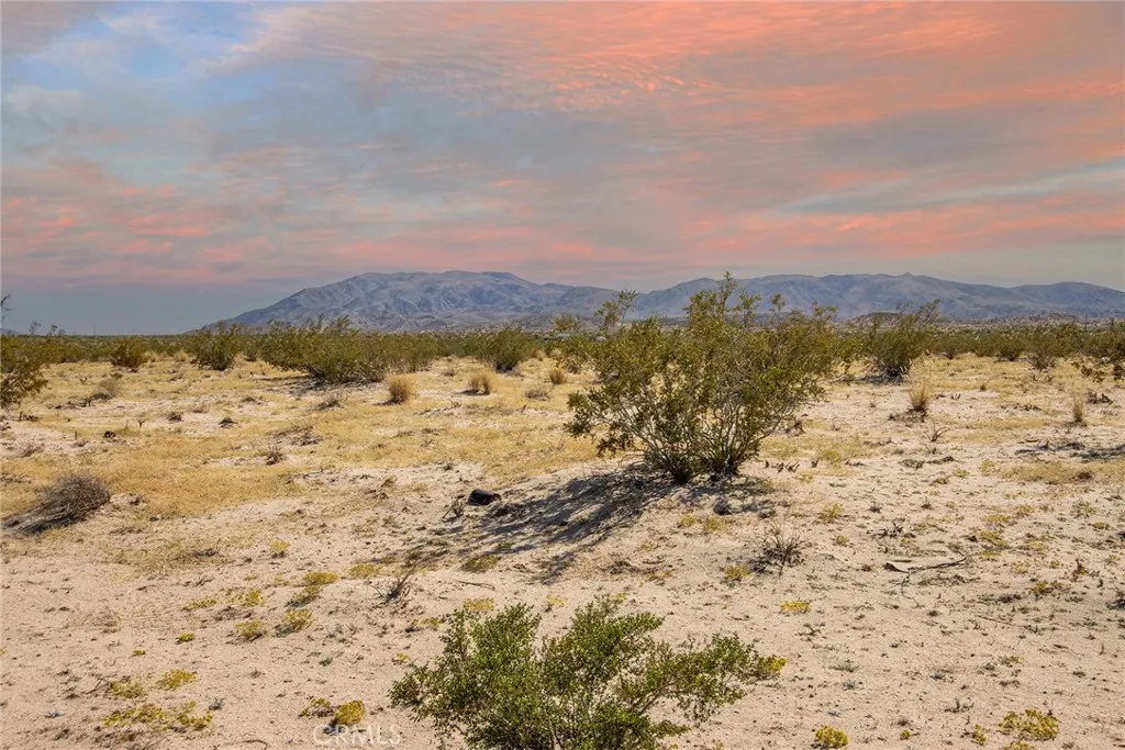 29 Palms, CA 92277
