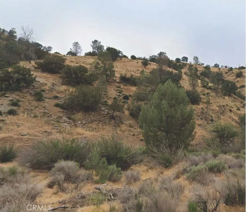Caliente, CA 93518