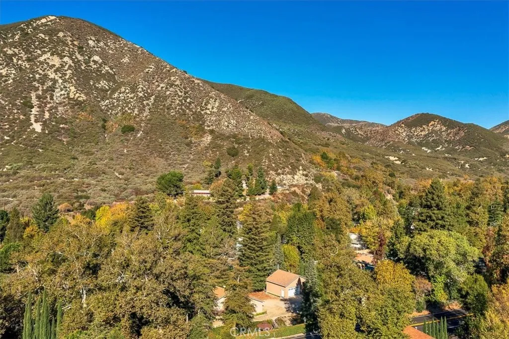 323 Alder, Lytle Creek, CA 92358 - Photo 5 of 48, Lytle Creek, CA
