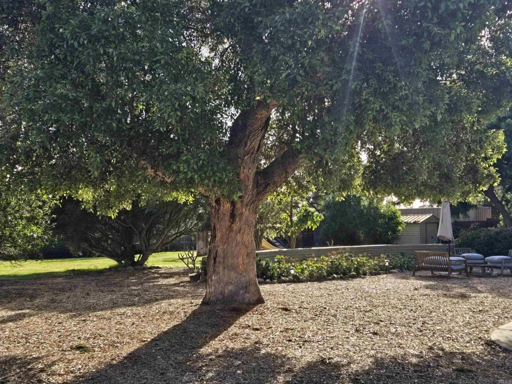 https://cdn.realtyfeed.com/cdn/127/306588802/6b59ea977157ec36d458a380c3f421fa.webp