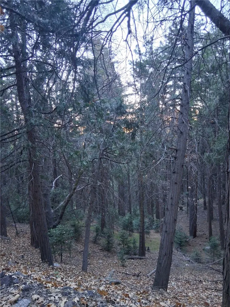 Cedarpines Park, CA 92322