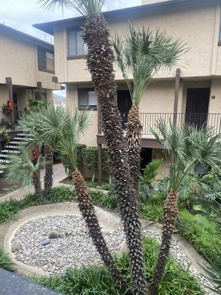 Photo #4: PTP2508603 Listing: Photo #4