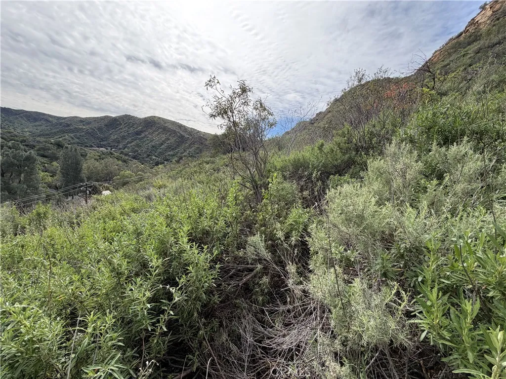 0 Ladd Canyon, Silverado, CA 92676 - Photo 3 of 16, Silverado, CA