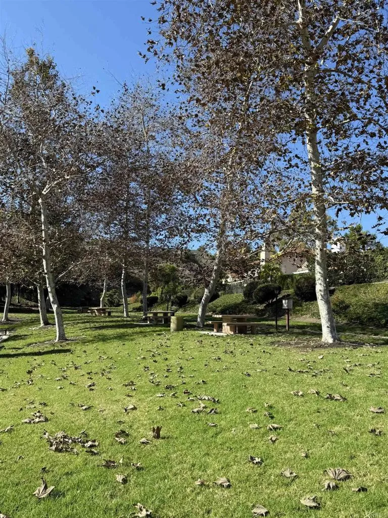 https://cdn.realtyfeed.com/cdn/127/306589795/87c553c1dc9e002c1d65ff961345b629.webp