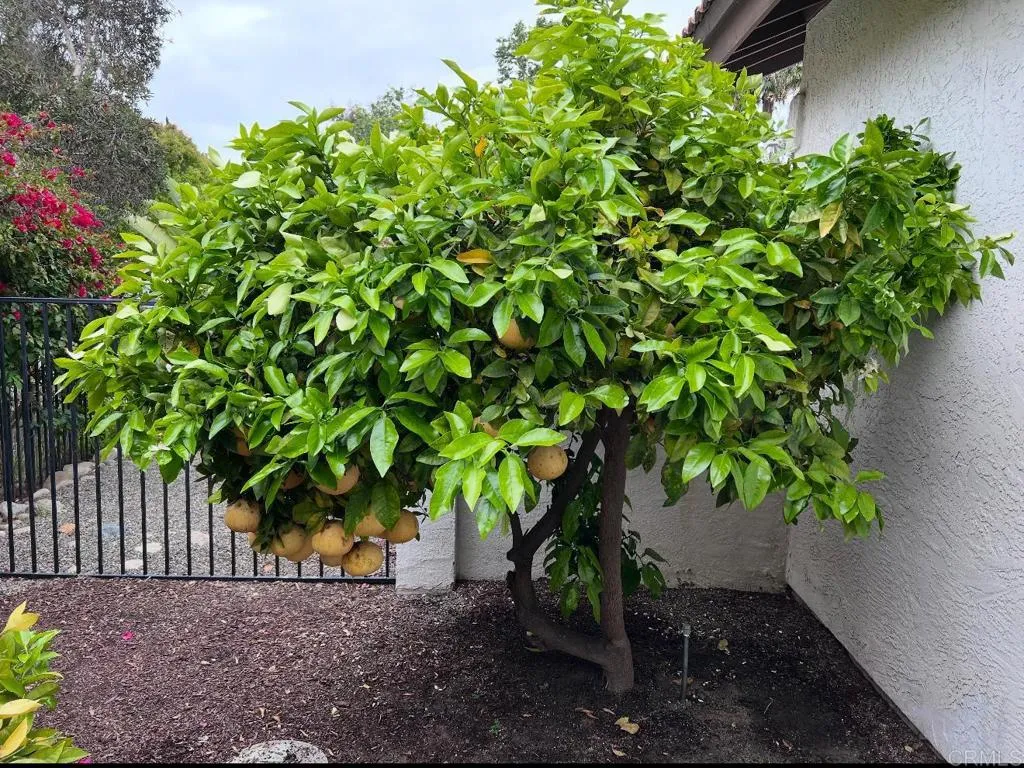 https://cdn.realtyfeed.com/cdn/127/306589795/8e92891281e259deb2b20ae70d867d10.webp