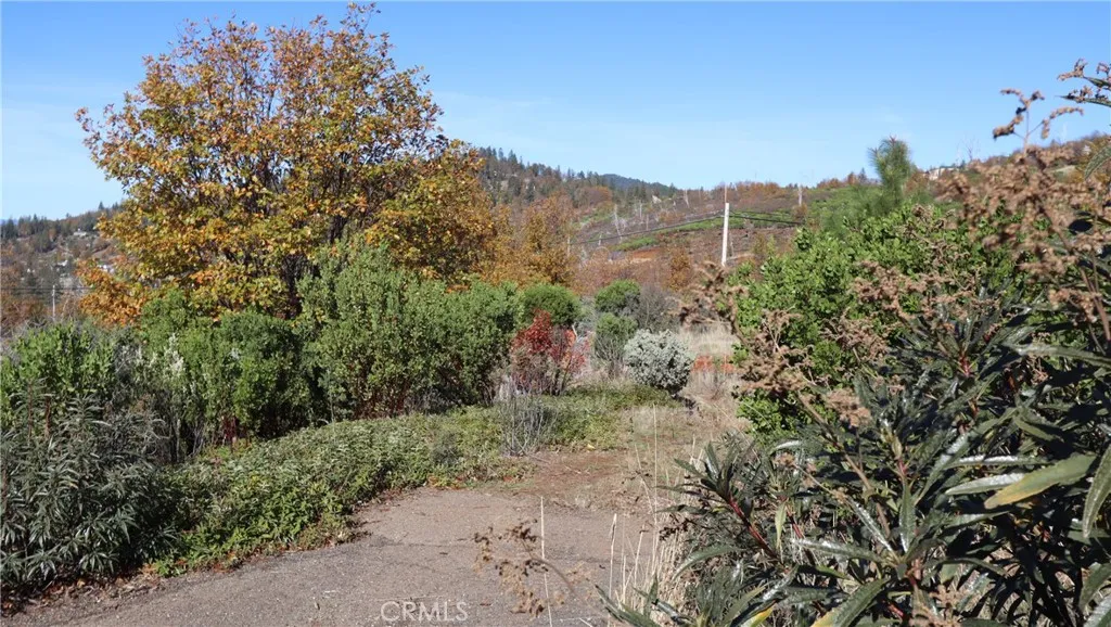 15530 Sugar Pine, Cobb, CA 95426