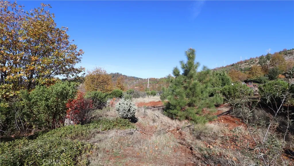 15530 Sugar Pine, Cobb, CA 95426 - Photo 2 of 12, Cobb, CA