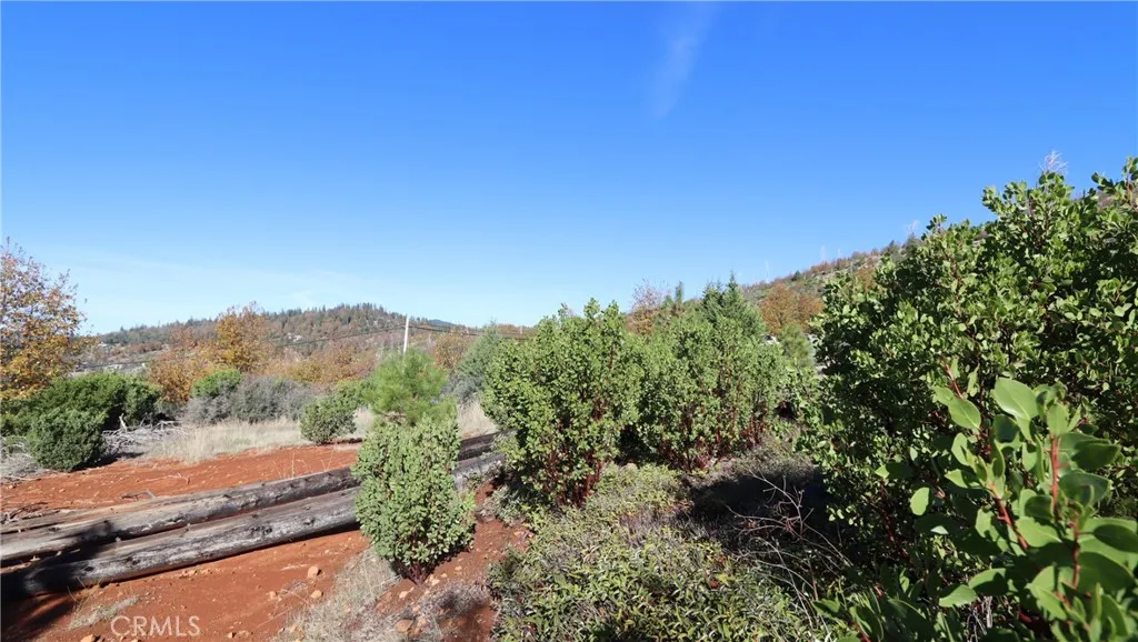 15530 Sugar Pine, Cobb, CA 95426 - Photo 4 of 12, Cobb, CA