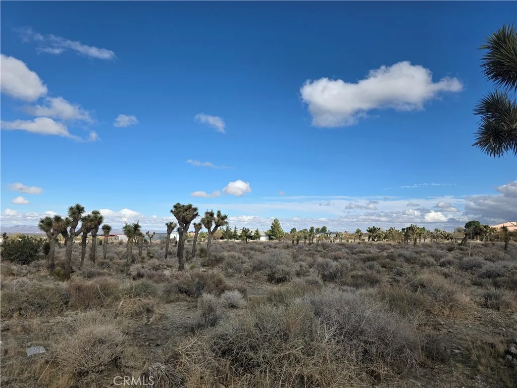 Pinon Hills, CA 92372