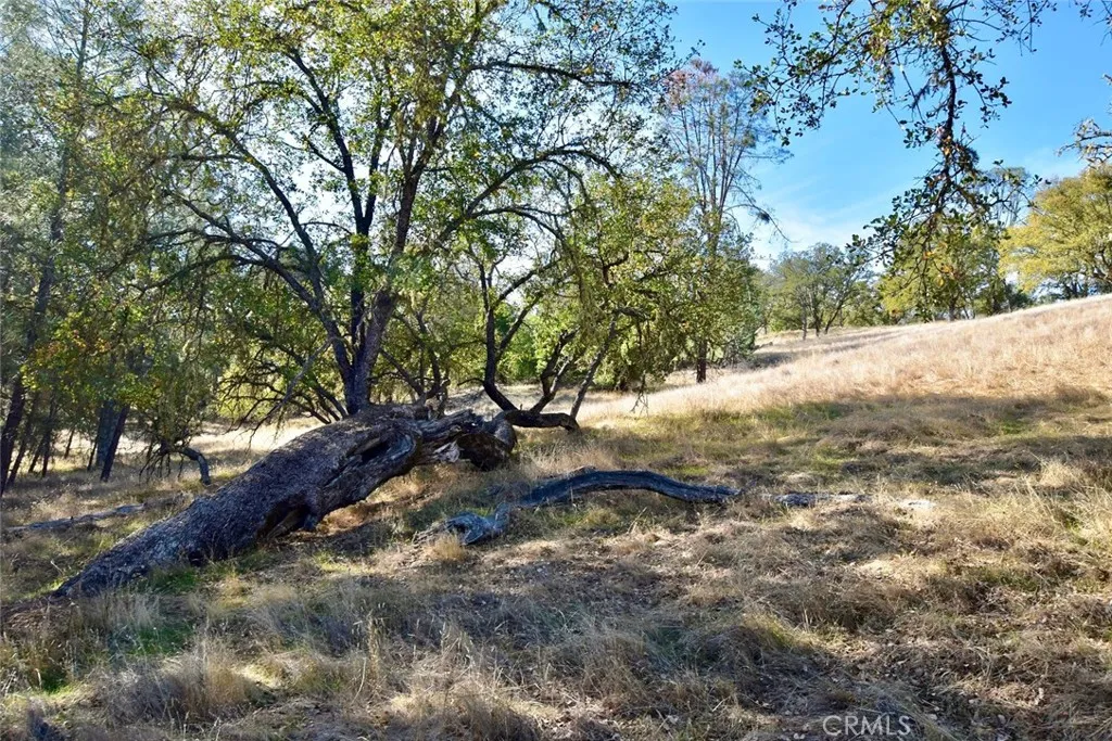 47811 Sapaque Valley, Bradley, CA 93426 - Photo 5 of 30, Bradley, CA