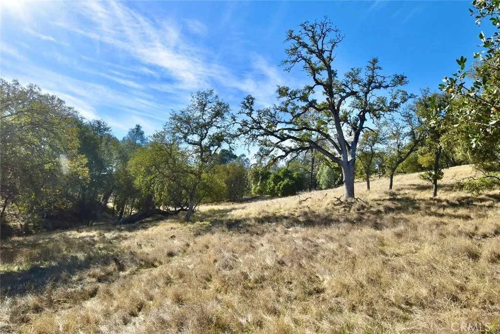 47811 Sapaque Valley, Bradley, CA 93426 - Photo 4 of 30, Bradley, CA
