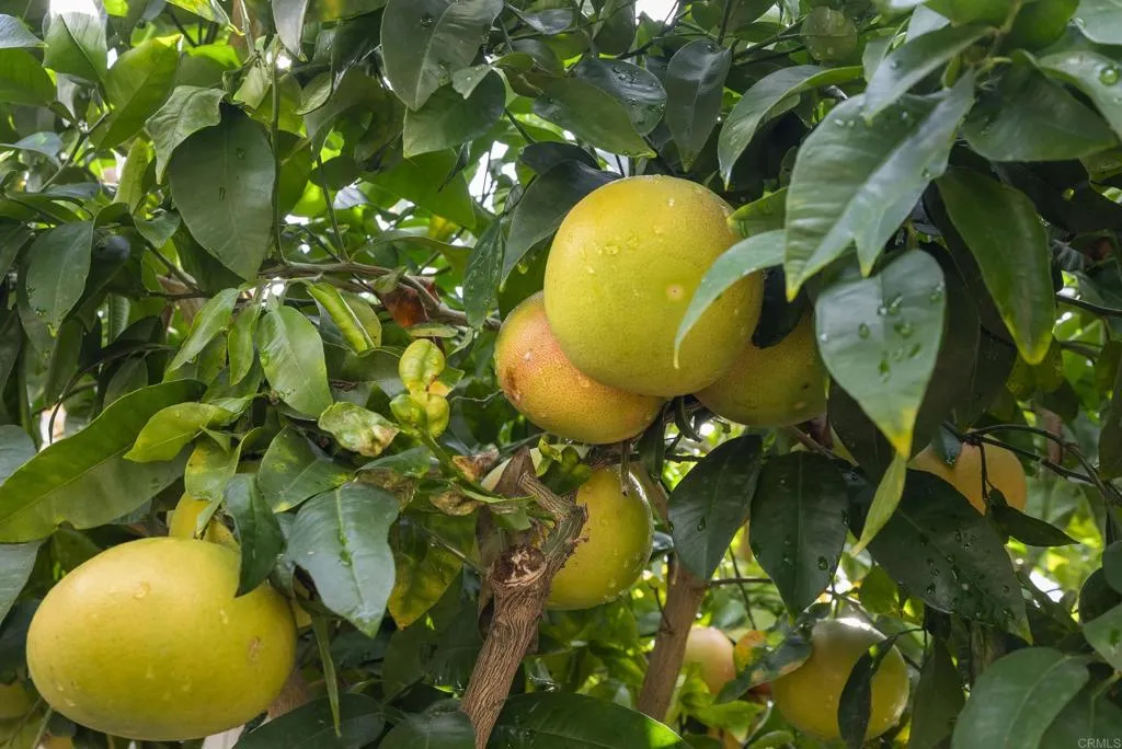 Photo #33: NDP2511011 Listing: Photo #33