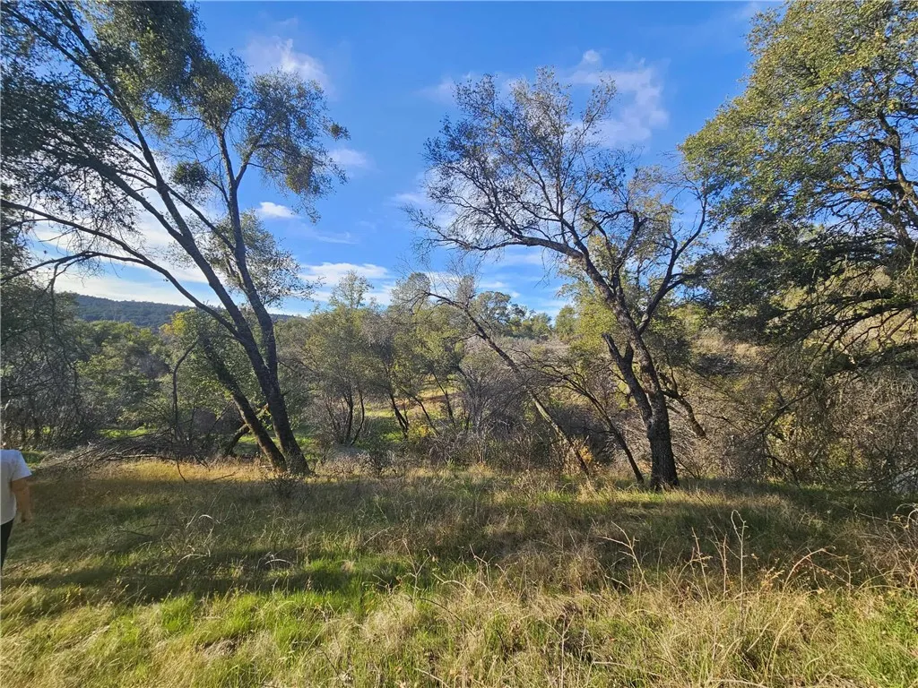 58111 Lark, North Fork, CA 93643 - Photo 3 of 28, North Fork, CA