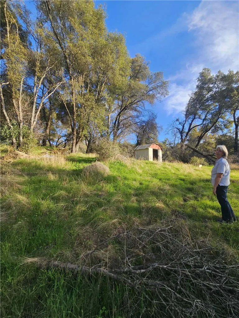 58111 Lark, North Fork, CA 93643 - Photo 5 of 28, North Fork, CA