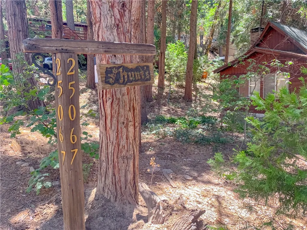 Crestline, CA 92325