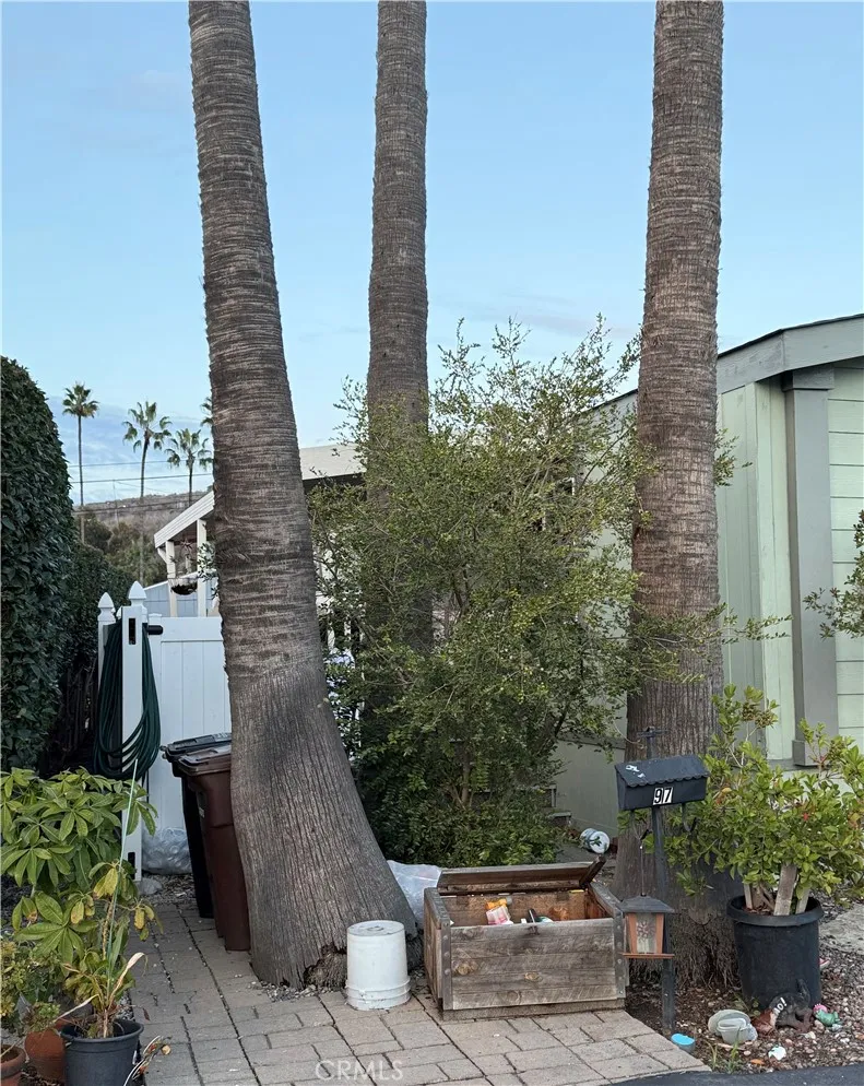 34052 Doheny Park Rd, Dana Point, CA 92624 - Photo 4 of 23, Dana Point, CA