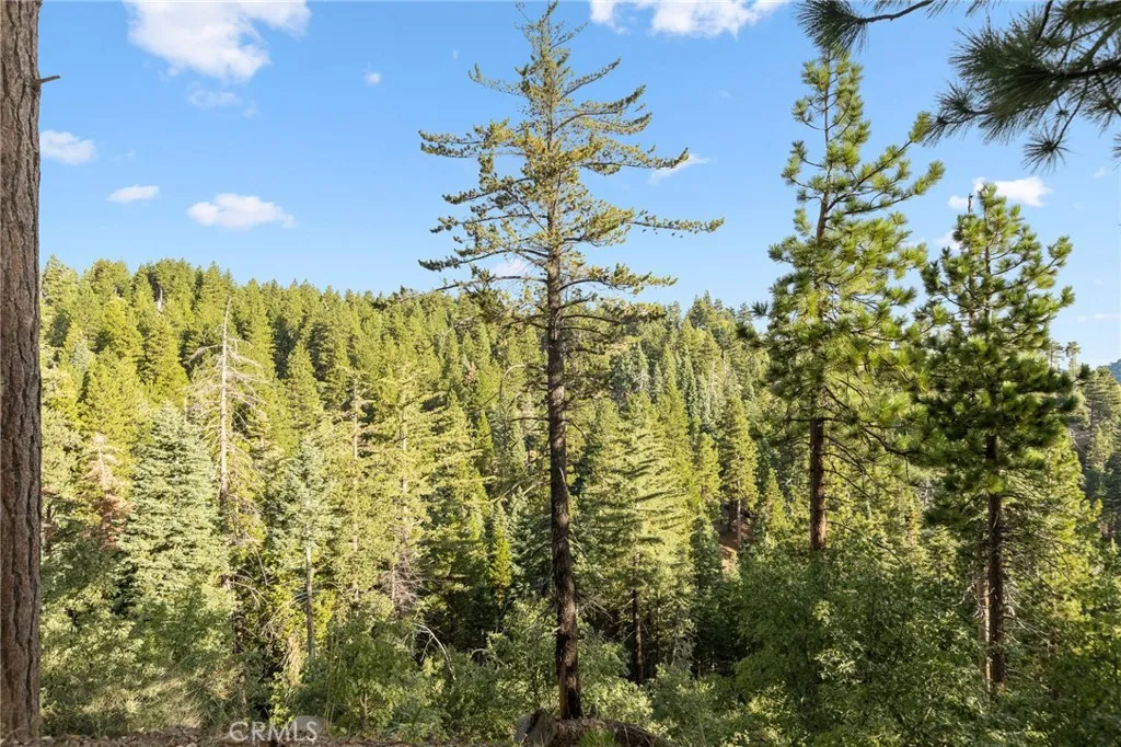 31661 Wagon Wheel, Running Springs, CA, 92382