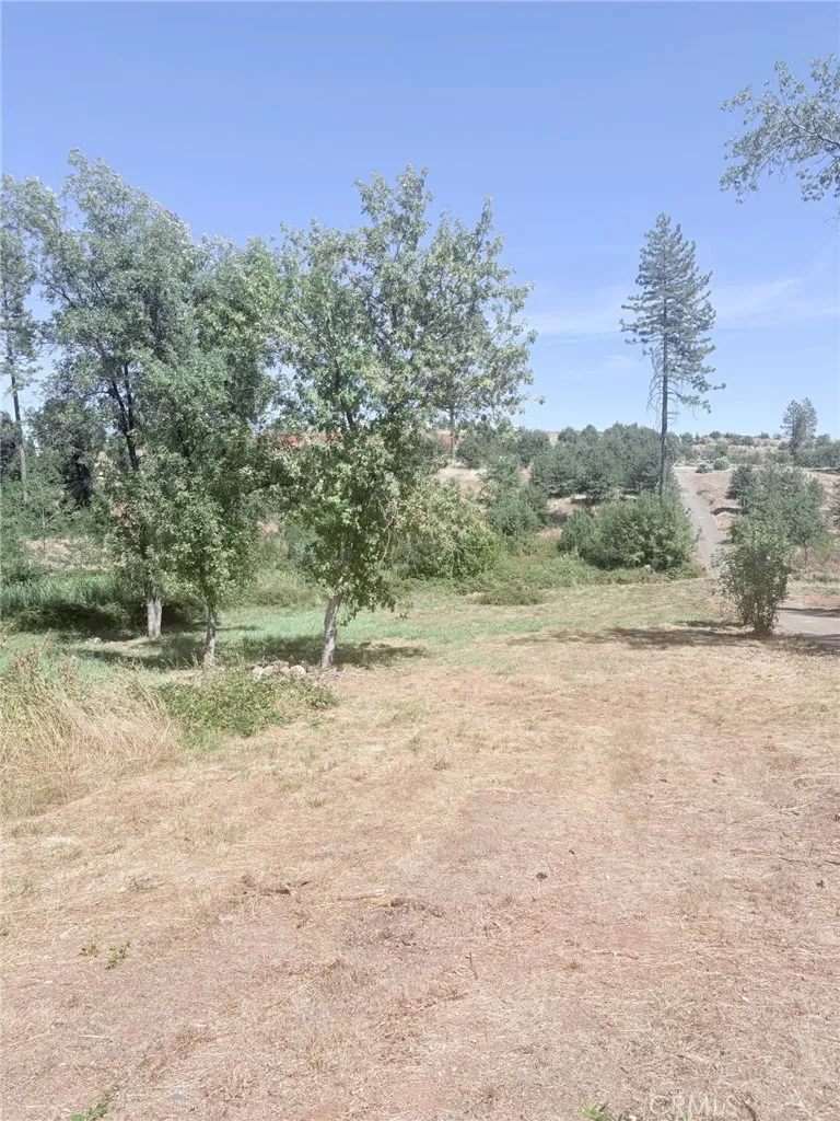 Paradise, CA 95969