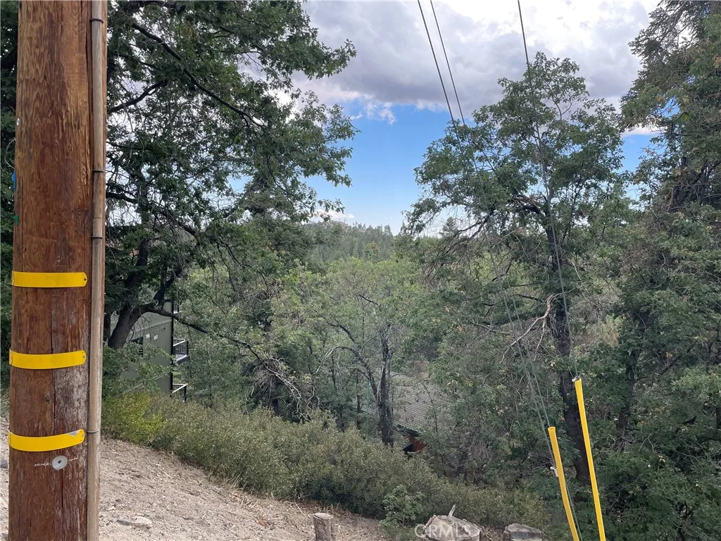 Green Valley Lake, CA 92341