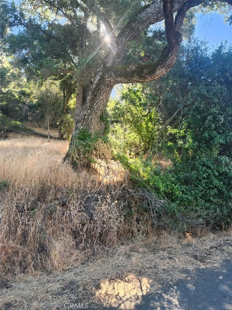 Lucerne, CA 95458