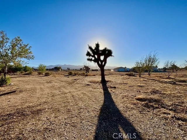 9950 Sonora Road, Phelan, CA 92371 - Photo 5 of 30, Phelan, CA