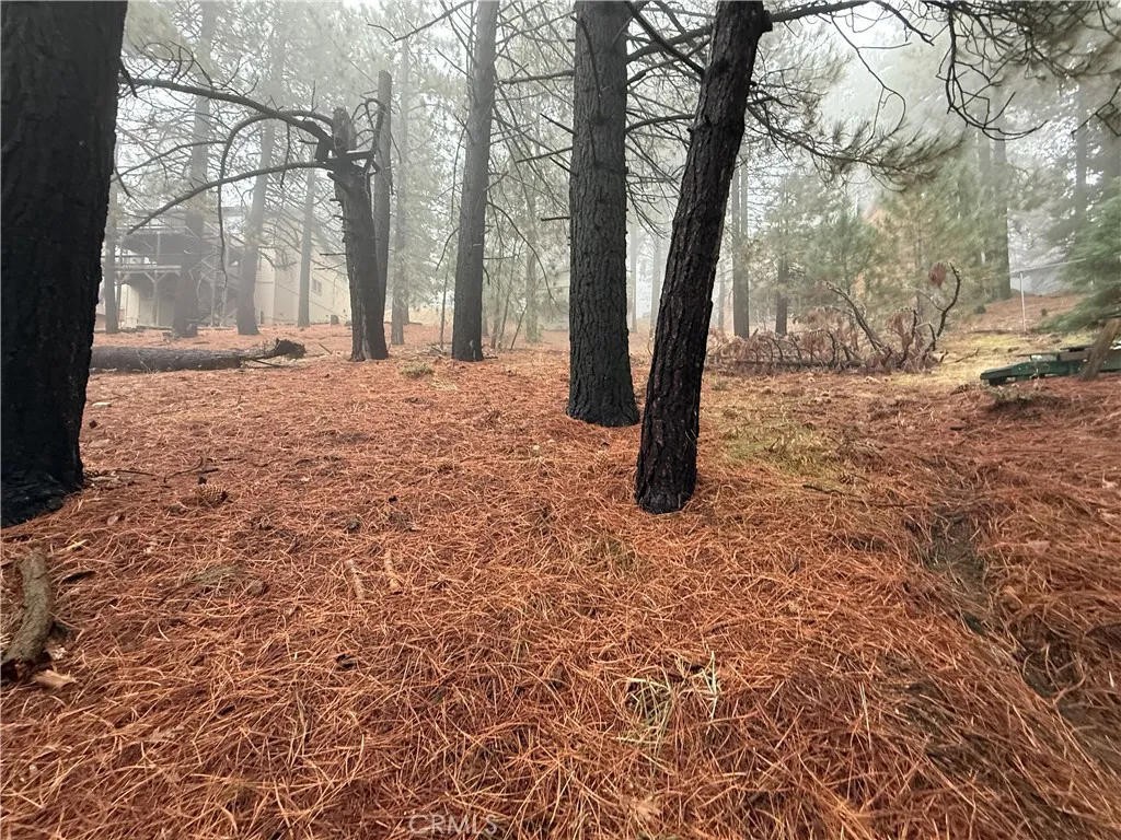 Running Springs, CA 92382