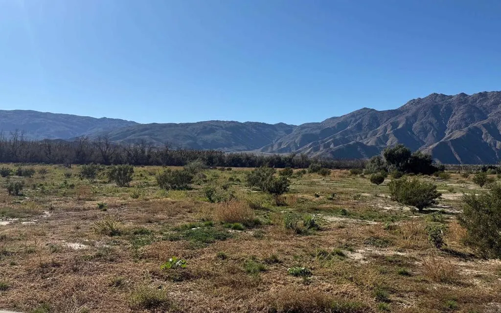 Borrego Springs, Borrego Springs, CA, 92004