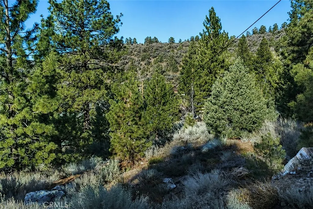 15113 Chestnut, Pine Mountain Club, CA 93222 - Photo 2 of 18, Pine Mountain Club, CA