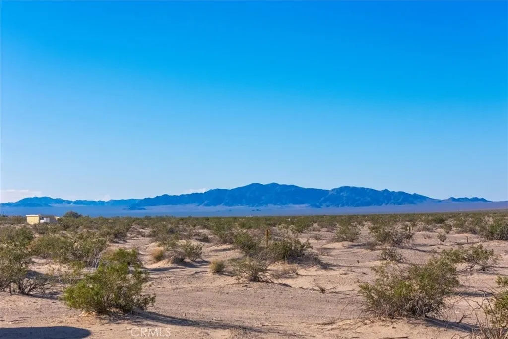 84753 Eddie Albert, 29 Palms, CA, 92277