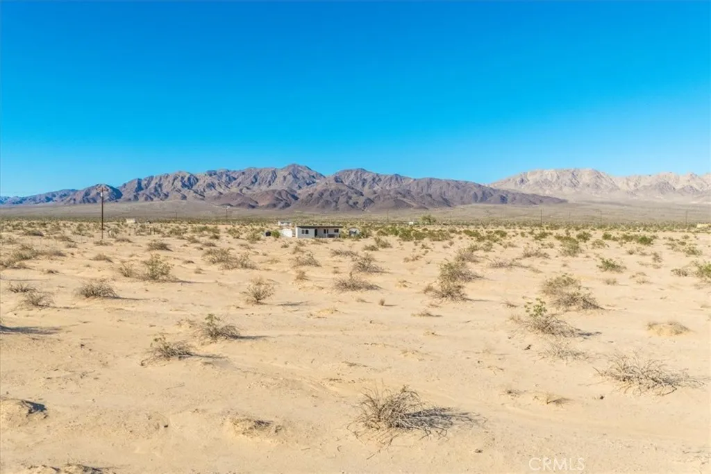 84753 Eddie Albert, 29 Palms, CA, 92277