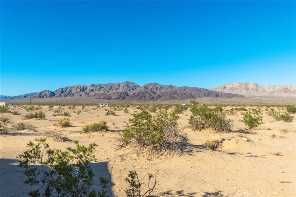 84753 Eddie Albert, 29 Palms, CA, 92277
