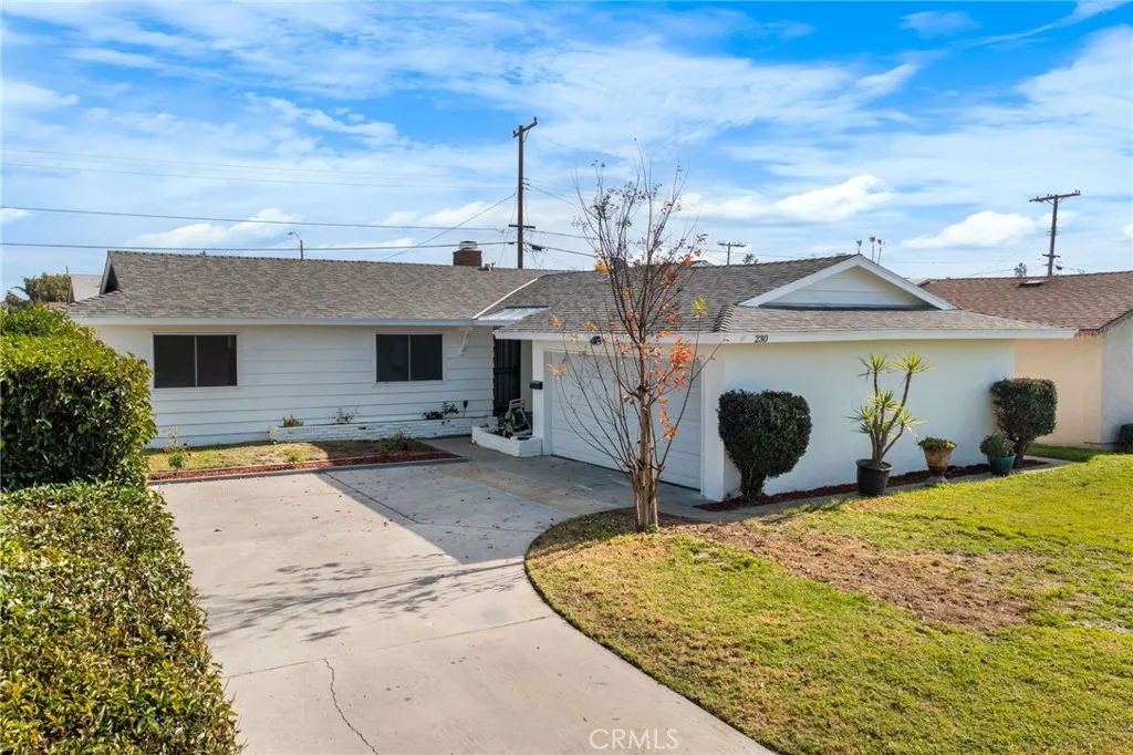 230 S Camellia