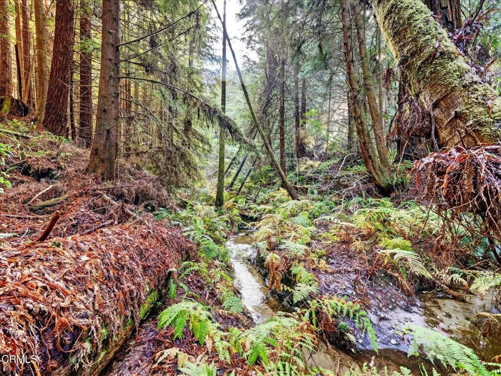 19400 Dorffi Road, Fort Bragg, CA 95437 - Photo 2 of 49, Fort Bragg, CA